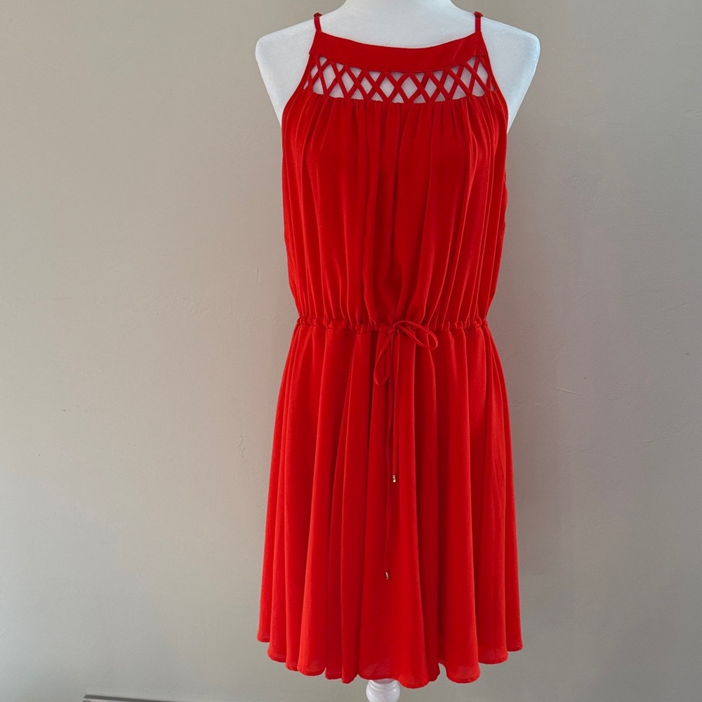 Greylin Women's Large Dress